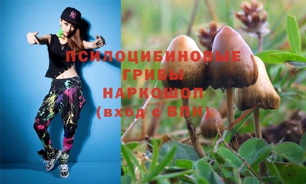 винт Алексеевка